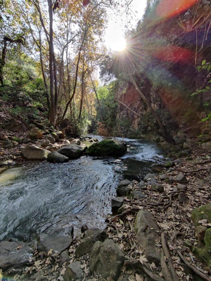 נוף יובלים Διαμέρισμα Qiryat Shemona Εξωτερικό φωτογραφία
